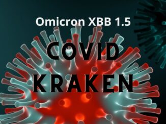 Covid Kraken Cepat Menular