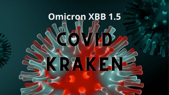 Covid Kraken Cepat Menular