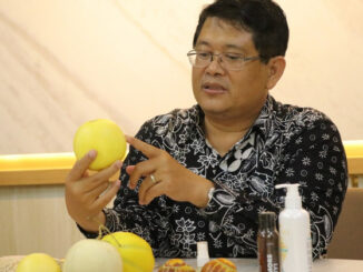 Melon Hikapel UGM