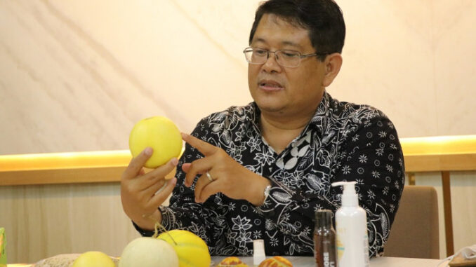 Melon Hikapel UGM
