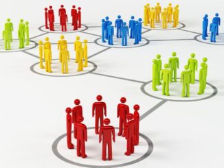 Organisasi