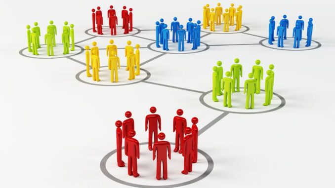 Organisasi
