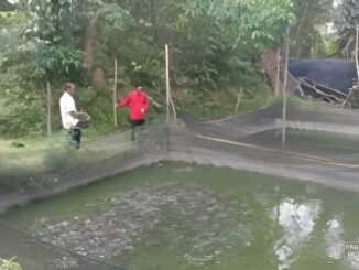 Pakan ikan UNS