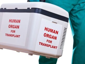 Jual Beli Organ Tubuh Manusia
