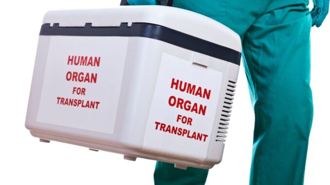 Jual Beli Organ Tubuh Manusia Jual Beli Organ Tubuh Manusia