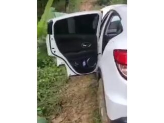 Mobil masuk hutan pati
