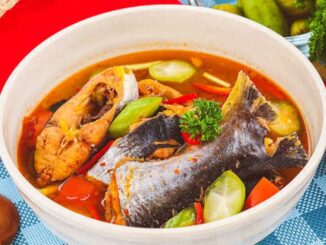 Ikan Patin salmon