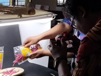 UMKM Batang di promosikan di media sosial