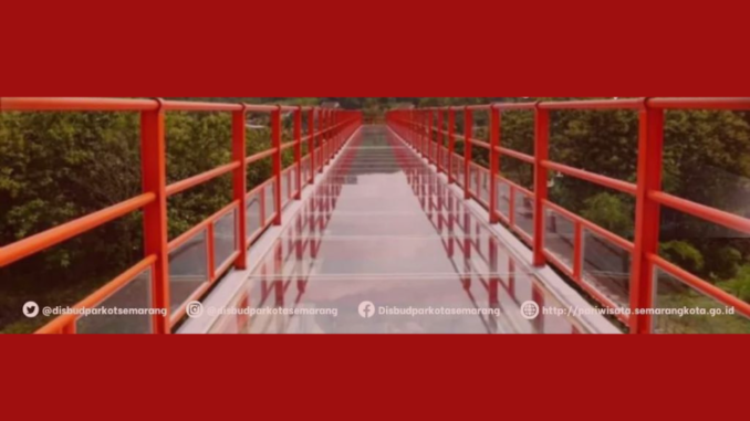Jembatan Kaca Hutan Wisata Tinjomoyo Jembatan Kaca Hutan Wisata Tinjomoyo