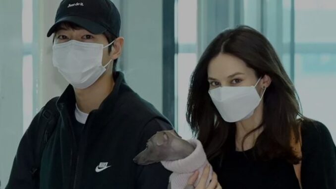 Song Joong Ki dan istrinya Katy Louise Saunders