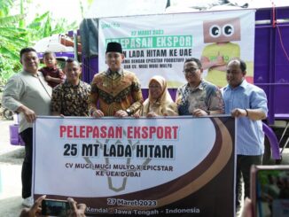 kendal ekspor lada hitam