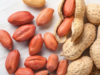Jerawat Kacang