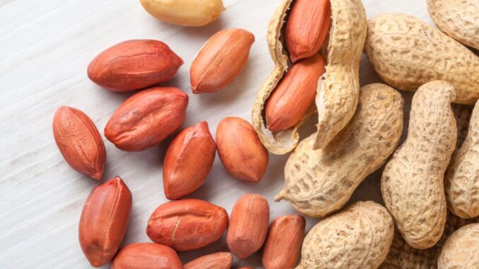 Jerawat Kacang Jerawat Kacang