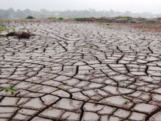 Kemarau El Nino