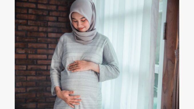 Manfaat Puasa Ibu Hamil Manfaat Puasa Ibu Hamil