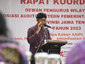 Auditor intern pemerintah