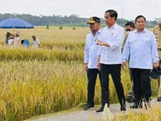 Harga Beras Wajar