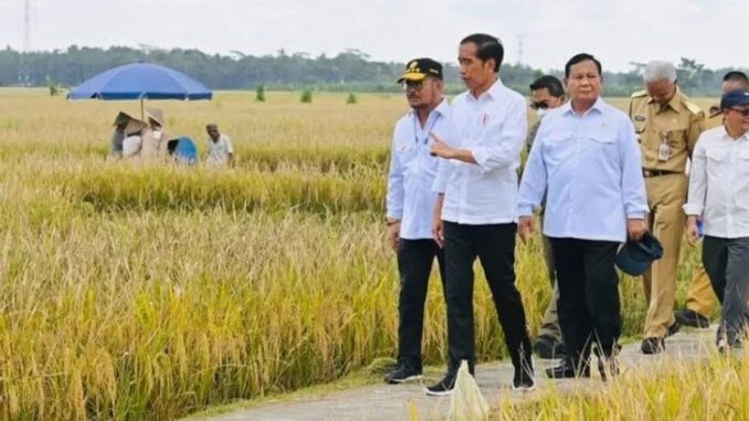 Harga Beras Wajar