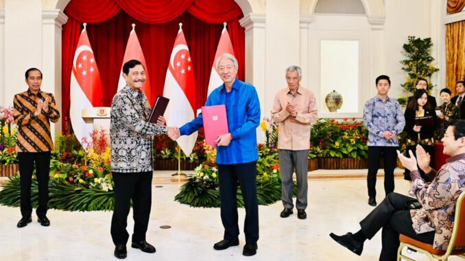 Rantai Pasok Panel Surya