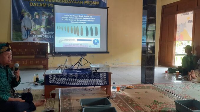 budidaya maggot undip FPP UNDIP Latih Budidaya Maggot
