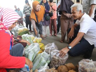 Harga Sayur Stabil