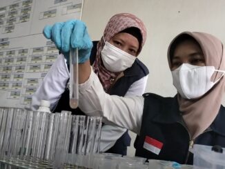 Makanan Mengandung Pengawet Berbahaya