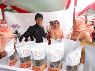 Momentum UMKM Pemudik Masuk Jateng