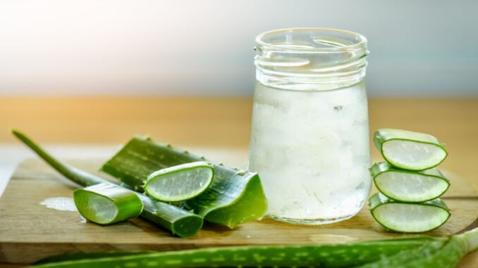 aloe ice