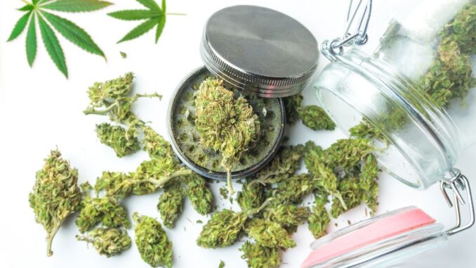 Legalisasi Ganja Jerman