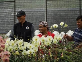 pariwisata Kledung Untidar