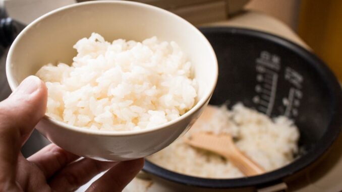 rice cooker sebabkan Kanker
