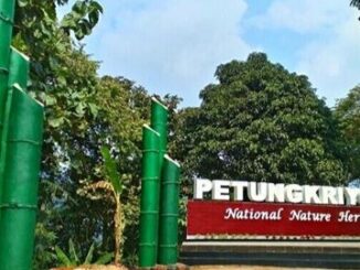 Petungkriyono Pekalongan Selatan
