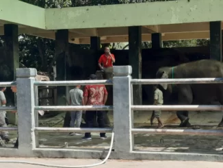 Bona Zela Semarang Zoo