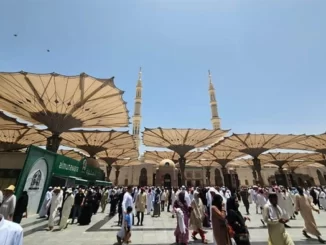 Jemaah Haji Indonesia Tiba di Tanah Suci