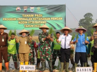 Ketahanan Pangan Batang