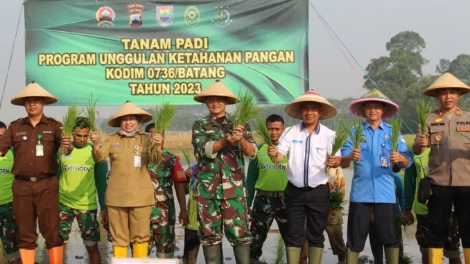 Ketahanan Pangan Batang