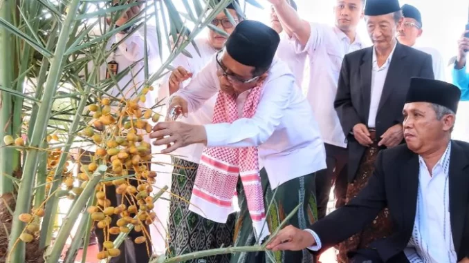 Kurma MAJT