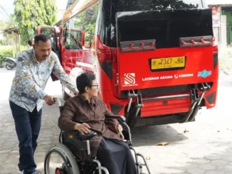 Microbus Disabilitas