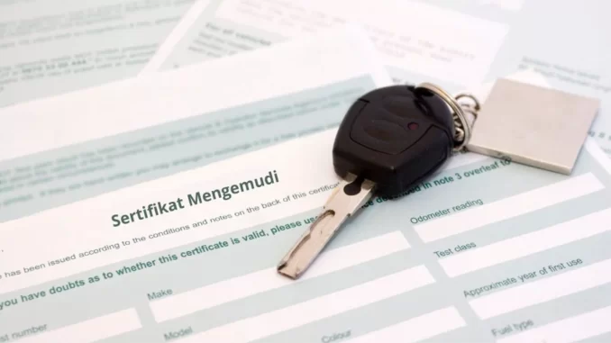 Sertifikat mengemudi