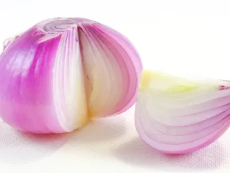 manfaat irisan bawang merah di pojok kamar
