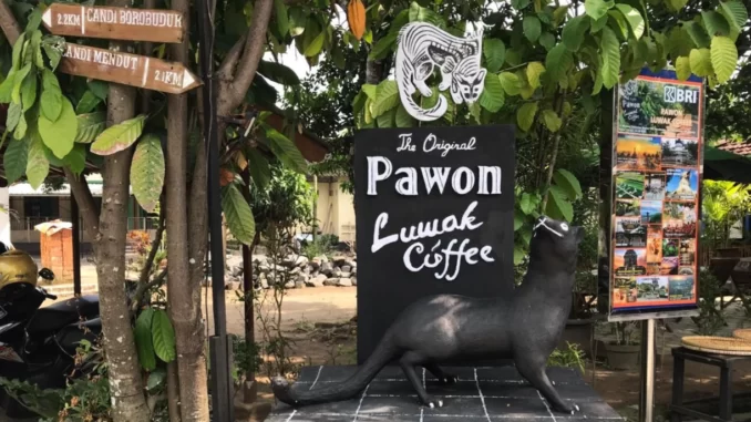 pawon-luwak-coffee-1 Nikmati Keindahan Golden Sunrise di Silandur Highland, Destinasi Wisata Alam yang Memukau di Magelang