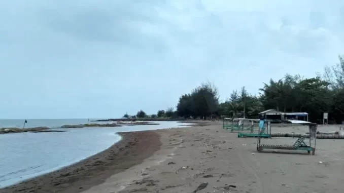 Cemara Pantai Sigandu