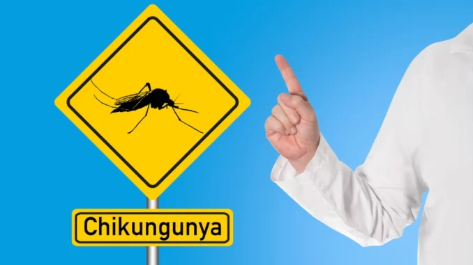 chikungunya