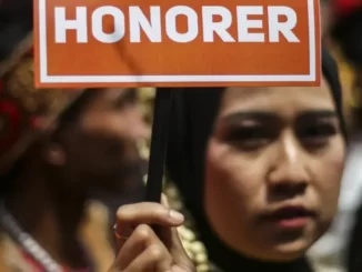 Honorwr 28 November 2023