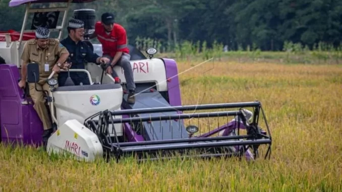 Menteri Pertanian RI Syahrul Yasin Limpo melakukan panen padi di lahan milik Kelompok Tani Panggodi Tani, Dusun Krasak Desa Boto, Bancak, Kabupaten Semarang, Senin (27/2/2023)
