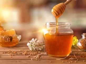 Madu Menurunkan Kolesterol