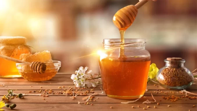 Madu Menurunkan Kolesterol