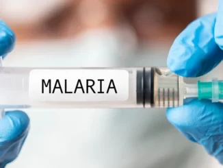 Malaria Purworejo