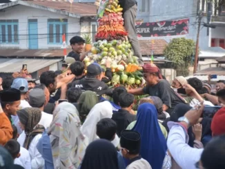 Merti Desa