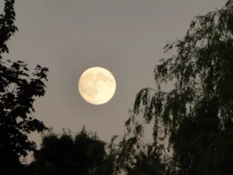 Supermoon Buck Moon